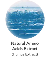 Natural Amino Acids Extract (Humus Extract)