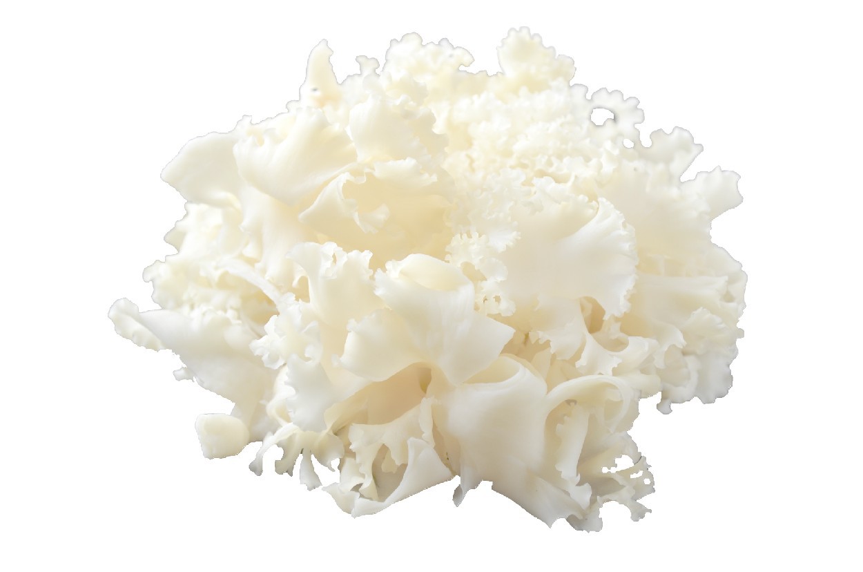 Cauliflower Mushrooms