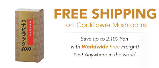Free Shipping